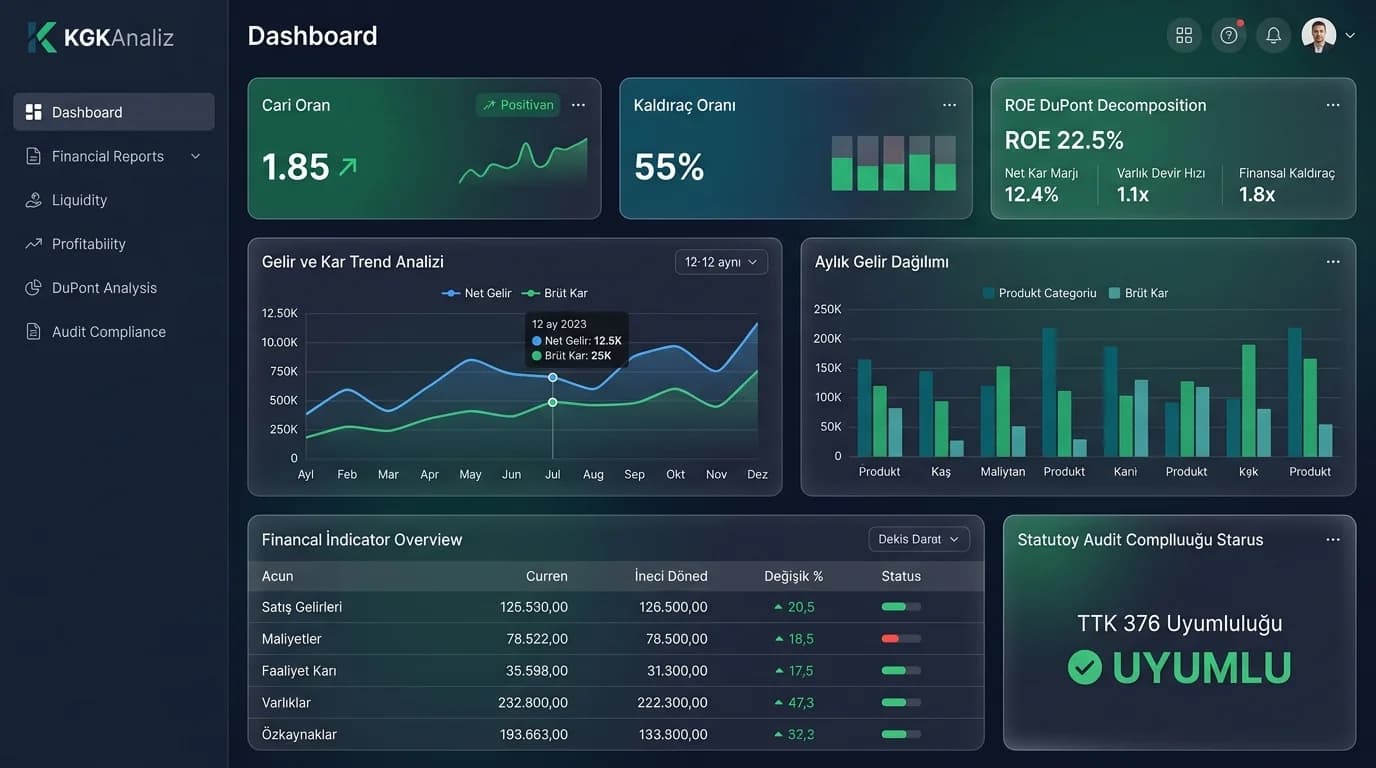 Cari oran, kaldıraç, ROE DuPont ve TTK 376 uyum göstergeleri sunan KGKAnaliz finansal analiz programı ekranı