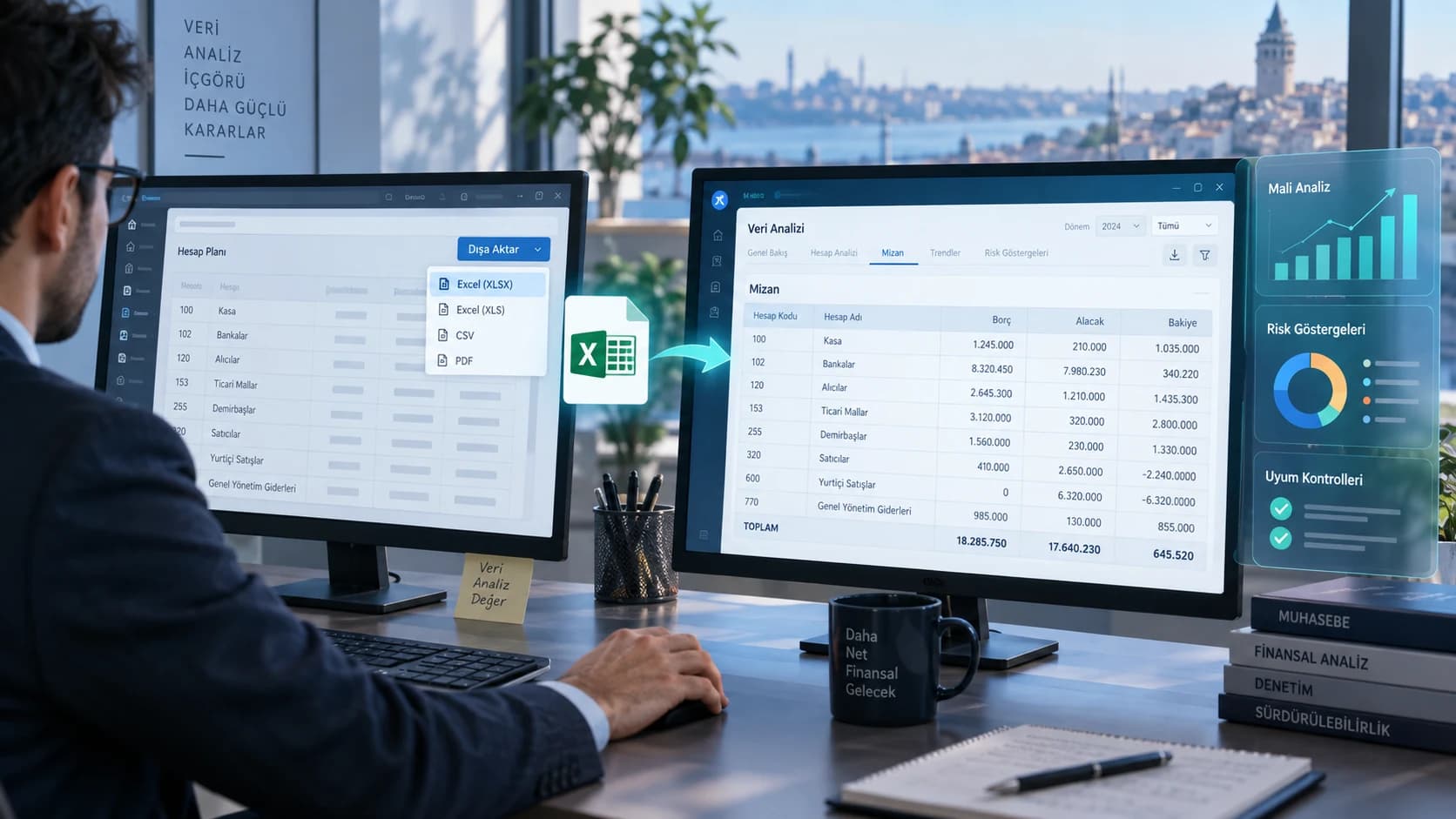 Desteklenen muhasebe ve finansal tablo formatları